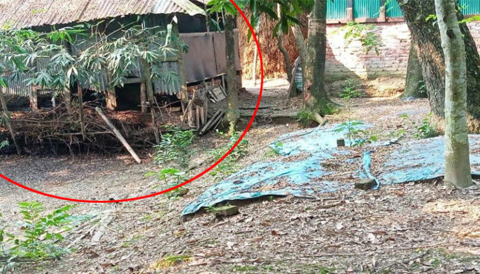 কচুয়ায় গোয়াল ঘরের গোবর আবর্জনা কবরস্থানের পাশে ফেলানোর অভিযোগ