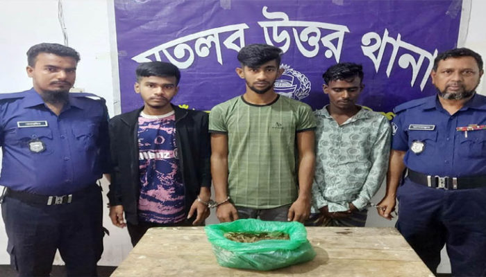 গাঁজাসহ ৩ মাদক বিক্রেতা আটক