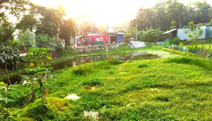 শাহরাস্তিতে কোটি টাকার মালিকানাহীন সম্পত্তি প্রভাবশালীদের দখলে : ডিসির ছানি মামলা