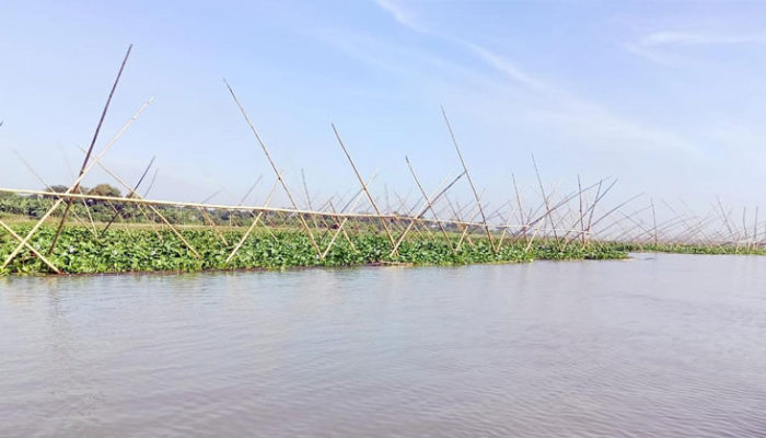 মতলব উত্তরে নদীতে অবৈধ মাছের ঘের