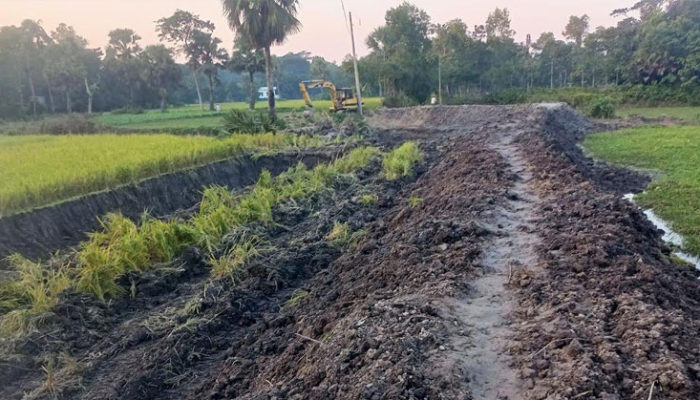 কচুয়ায় কর্মসূচীর নামে ফসলী জমি বিনষ্ট করে রাস্তা নির্মাণ