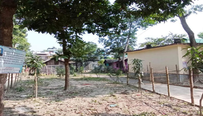 বিদ্যালয়ের সম্পত্তি দখল করে ইউপি চেয়ারম্যানের পারিবারিক বাগান