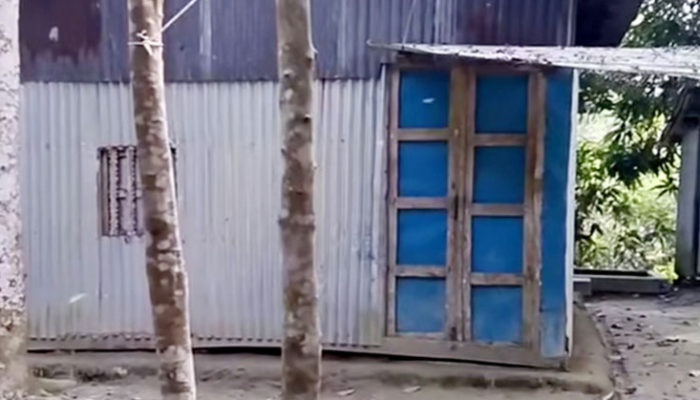 বাসর রাতেই ৮ মাসের অন্তঃসত্ত্বা নববধূ! অতঃপর…
