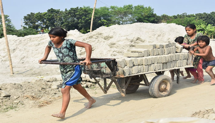 শাহরাস্তি-হাজীগঞ্জে ইট ভাটার শ্রমিকদের মানবেতর জীবন যাপন
