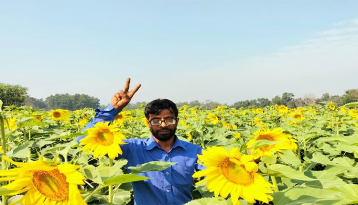 মতলব উত্তরে সূর্যমুখীর হাসিতে স্বপ্ন দেখছেন জসীমউদ্দিন
