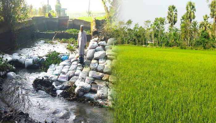 সেচ প্রকল্পের বাঁধ ভেঙ্গে হুমকিতে সাড়ে ৩ হাজার একর কৃষি জমির বোরো আবাদ