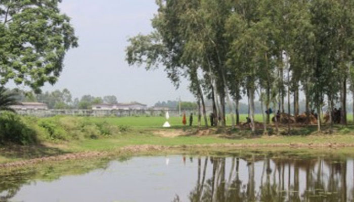 ভারতের কয়লা গুহায় চাপা পড়ে বাংলাদেশি নিহত