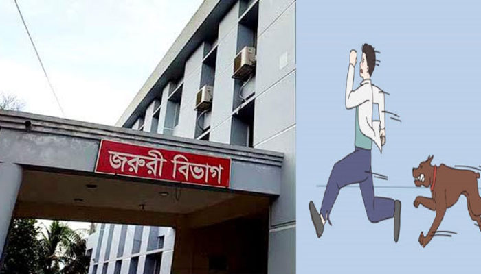 ফরিদগঞ্জে কুকুরের কামড়ে শিশুসহ আহত ২০