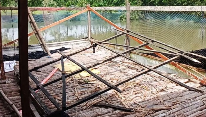কচুয়ায় ঝড়ে পোল্ট্রি ফার্ম লন্ডভন্ড, ৪ লক্ষ টাকা ক্ষয়ক্ষতি