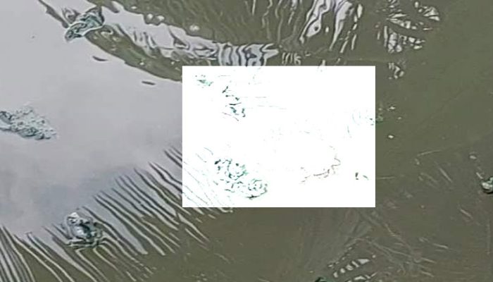 ফরিদগঞ্জে খালের পানিতে নবজাতকের লাশ