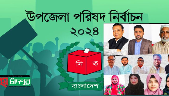 শাহরাস্তিতে চেয়ারম্যান ও ভাইস চেয়ারম্যান পদে মোট ১২ জনের মনোনয়নপত্র দাখিল