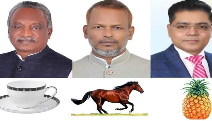 মতলব উত্তর ও দক্ষিণ উপজেলা পরিষদ নির্বাচনে প্রার্থীদের প্রতীক বরাদ্দ