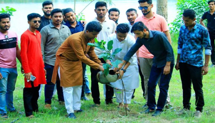 চাঁদপুর জেলা ছাত্রলীগের যুগ্ম সম্পাদক কাজী নাসিমের নেতৃত্বে বৃক্ষরোপণ