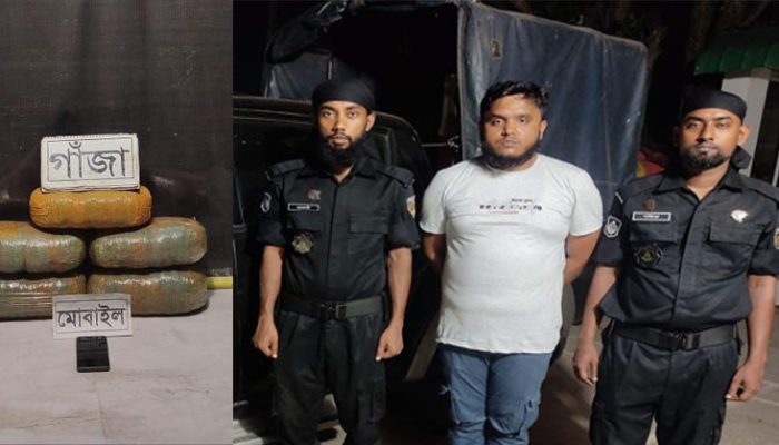 কুমিল্লায় সাড়ে ১২ কেজি গাঁজা সহ এক মাদক ব্যবসায়ী র‌্যাবের হাতে গ্রেফতার