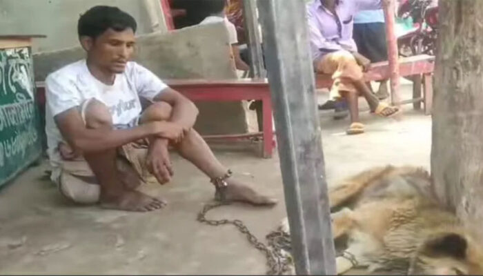 ৮০০ টাকার জন্য কুকুরের সঙ্গে শিকলে বেঁধে নির্যাতন