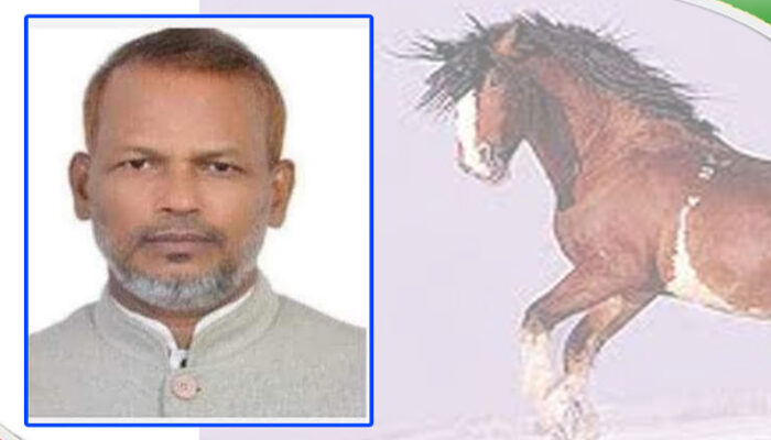 মতলব উত্তরে মোহাম্মদ মানিক চেয়ারম্যান নির্বাচিত
