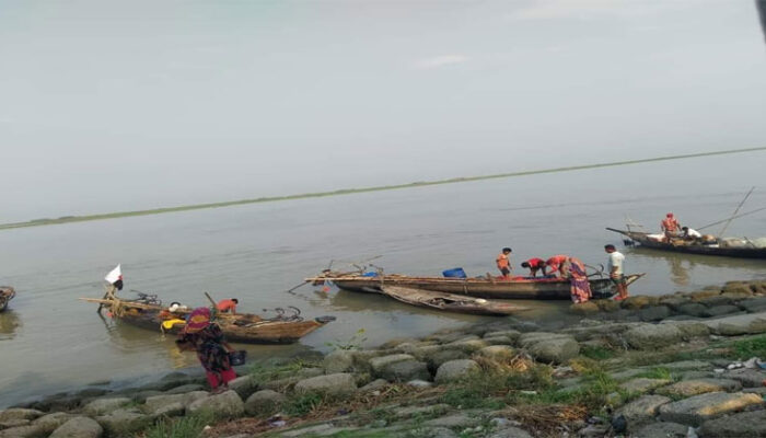 হাইমচর মেঘনা নদীতে নিষিদ্ধ জালের সয়লাব” ধ্বংস হচ্ছে মৎস্য সম্পদ