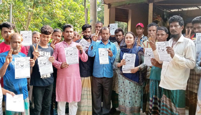 প্রজাপতি মার্কায় ভোট চেয়ে মাঠ চষে বেড়াচ্ছেন মহিলা ভাইস চেয়ারম্যান প্রার্থী পারভীন