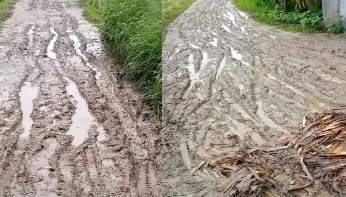 হাইমচরের ঈশানবালার এক রাস্তায় সহস্রাধিক মানুষের দুর্ভোগ