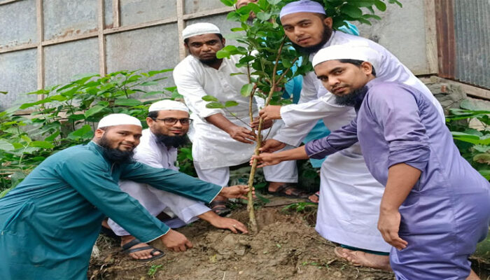ভারসাম্যপূর্ণ পরিবেশ রক্ষায় বেশি পরিমাণ গাছ লাগাতে হবে : ইসলামী আন্দোলন বাংলাদেশ
