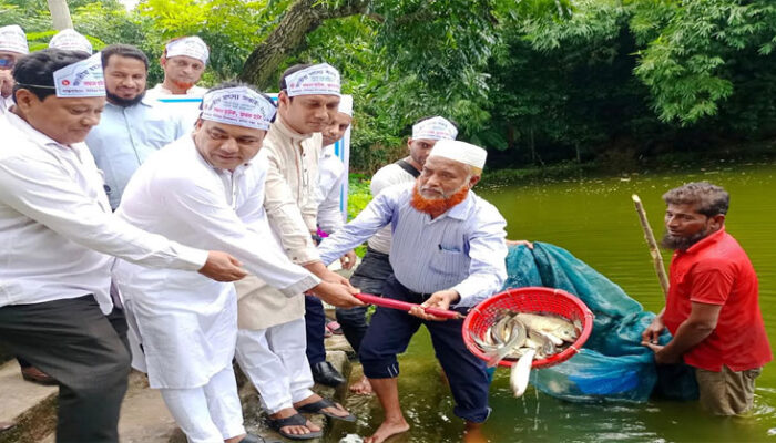 কচুয়ায় জাতীয় মৎস্য সপ্তাহের উদ্বোধন