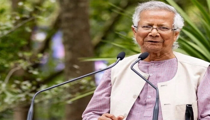 যারা আছেন অন্তর্বর্তী সরকারে