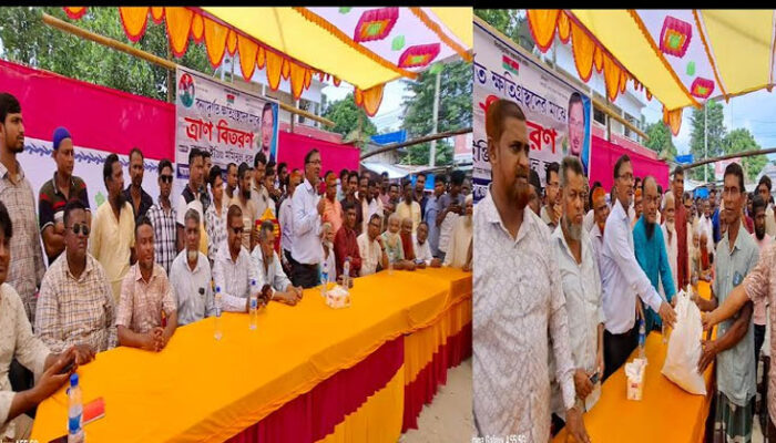 বিএনপি ক্ষমতায় অধিষ্ঠিত হলে বানভাসিদের ক্ষতি পুষিয়ে দিবে : লায়ন ইঞ্জি: মমিনুল হক