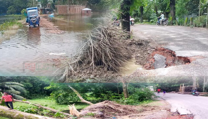বন্যায় ক্ষতিগ্রস্ত চাঁদপুরে ১৯২ গ্রামীণ সড়ক