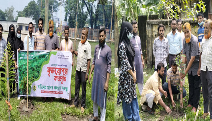 বাতিঘর মানব কল্যাণ সংস্থার বৃক্ষ রোপণ কর্মসূচি