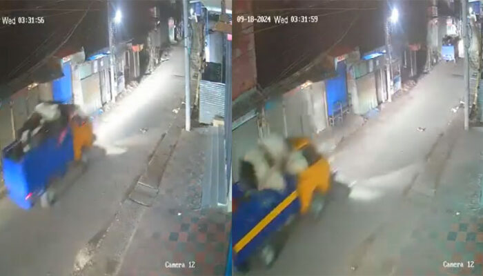 শাহরাস্তিতে গো খামারে দূর্ধর্ষ ডাকাতি, পাহারাদারকে জিম্মি করে ১১ গরু লুট