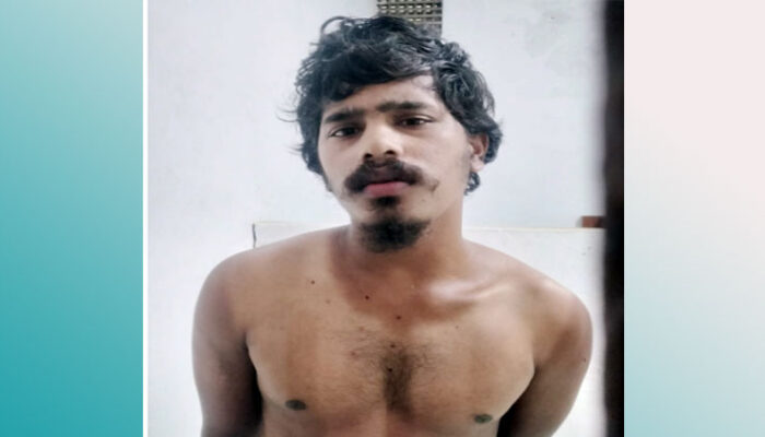 মতলব উত্তরে ছেলের ইটের আঘাতে মায়ের মৃত্যু : ঘাতক ছেলে আটক