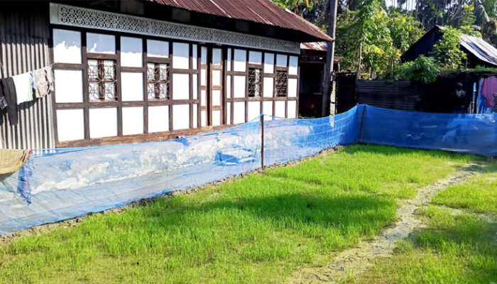ফরিদগঞ্জে বাড়ির উঠোনে ধানের বীজতলা