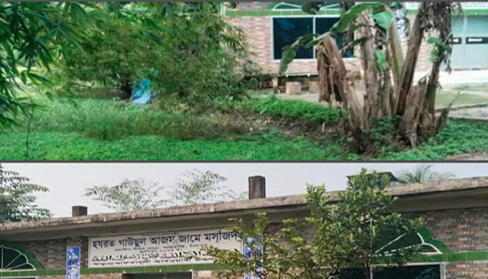 শাহরাস্তিতে টিআর প্রকল্প বাস্তবায়ন না করে অর্থ আত্নসাতের অভিযোগ 