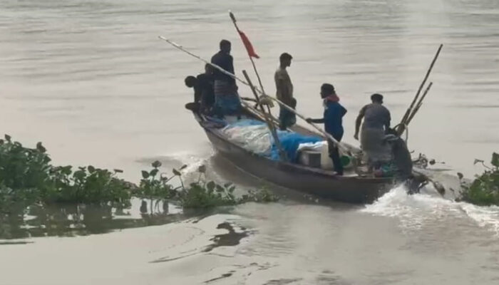 চাঁদপুর পদ্মা মেঘনায় নিষেধাজ্ঞা অমান্য করে ইলিশ শিকার করছে জেলেরা