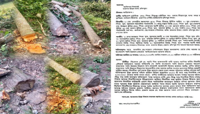 মেঘনা ধনাগোদা সেচ প্রকল্পের গাছ কেটে নেয়ায় ১৫ জনের বিরুদ্ধে থানায় অভিযোগ