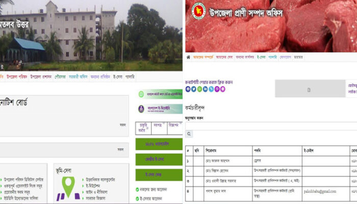 মতলব উত্তরের জাতীয় তথ্য বাতায়নে ভুল,তথ্যের ছড়াছড়ি