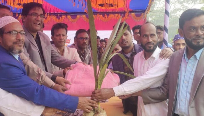 কচুয়ায় ১২শ তালের চারা রোপণ ও শীতবস্ত্র বিতরণ