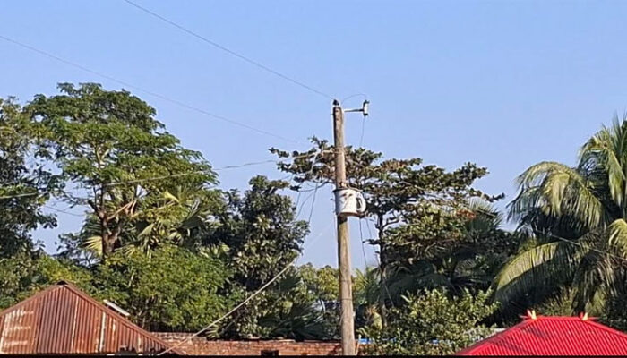 শাহরাস্তিতে বিদ্যুৎ কে ড়ে নিল ৬ষ্ঠ শ্রেনীর শিক্ষার্থীর প্রা ণ