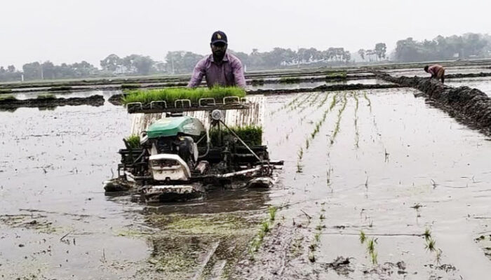 কচুয়ায় সমলয়ে বোরো ধান চাষের উদ্বোধন