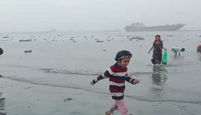 নদী দূষণ: চাঁদপুরের মেঘনায় ভেসে উঠছে মরা মাছ