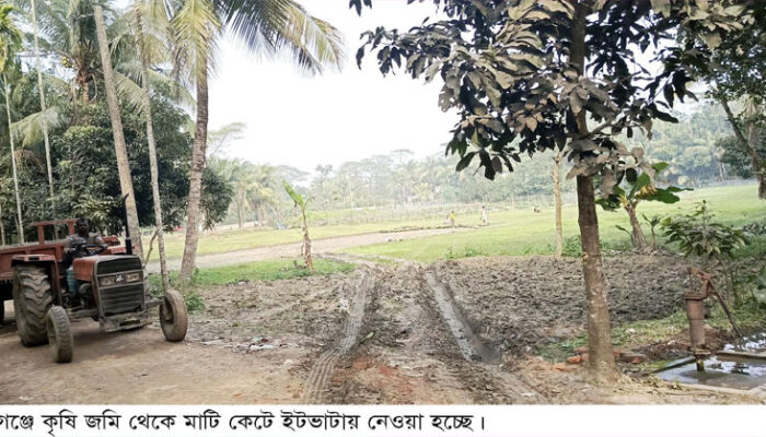 ফরিদগঞ্জের গ্রামীন সড়কে ট্রাক্টরের মিছিল, কৃষি জমির মাটি কাটার মহোৎসব