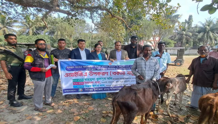 মতলব উত্তরে নিবন্ধিত জেলেদের মাঝে বকনা বাছুর বিতরণ