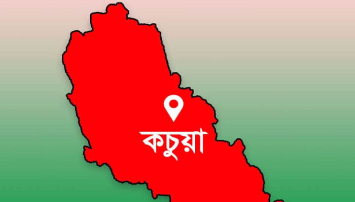 কচুয়ায় চালককে হত্যা করে অটোরিকশা ছিনতাই