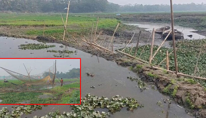 চাঁদপুরে ডাকাতিয়ায় বাঁধ দিয়ে মাছ শিকার, পানি সংকটে হাজারো কৃষক
