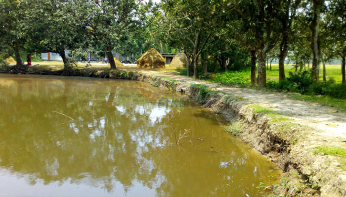 একই পুকুরে ডুবে দুই শিশুর মৃত্যু