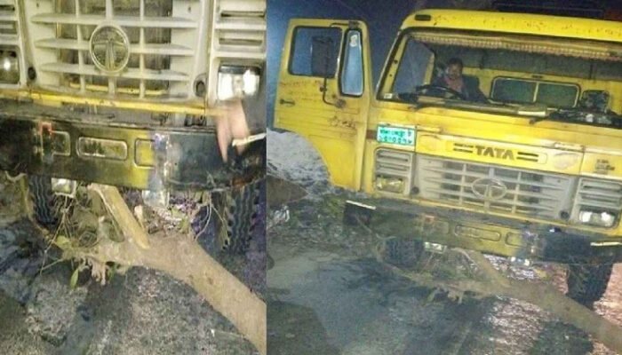 মাঝরাতে সড়কে গাছ ফেলে ৪০ গাড়িতে ডাকাতি