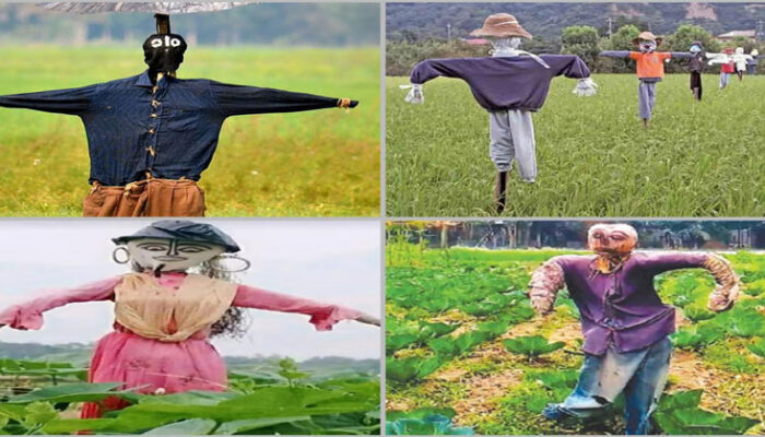 হারিয়ে যাচ্ছে কাকতাড়ুয়ার কাব্য