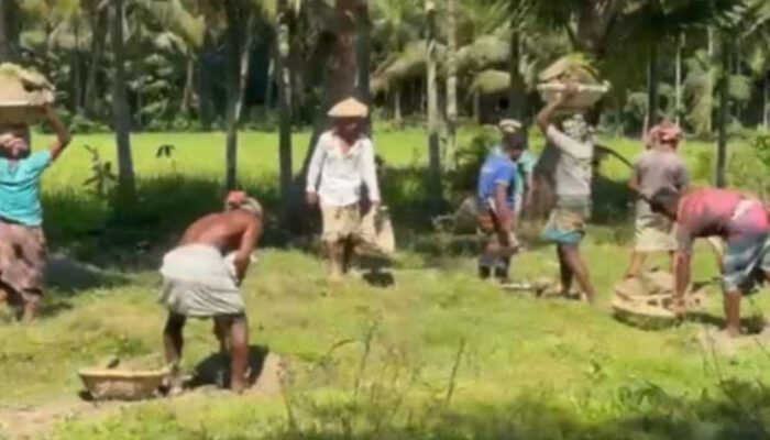 গাছের সাথে এ কেমন নিষ্ঠুরতা