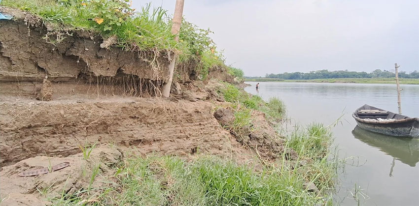 চাঁদপুরের উত্তর নানুপুরে ডাকাতিয়ার তীব্র ভাঙ্গন ; হুমকির মুখে ৫’শ বসতবাড়ি