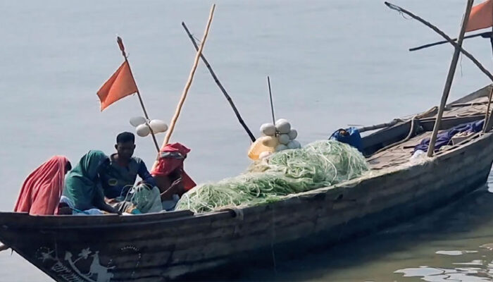 মধ্যরাত থেকে চাঁদপুরের অর্ধ লক্ষাধিক জেলে নামবে নদীতে